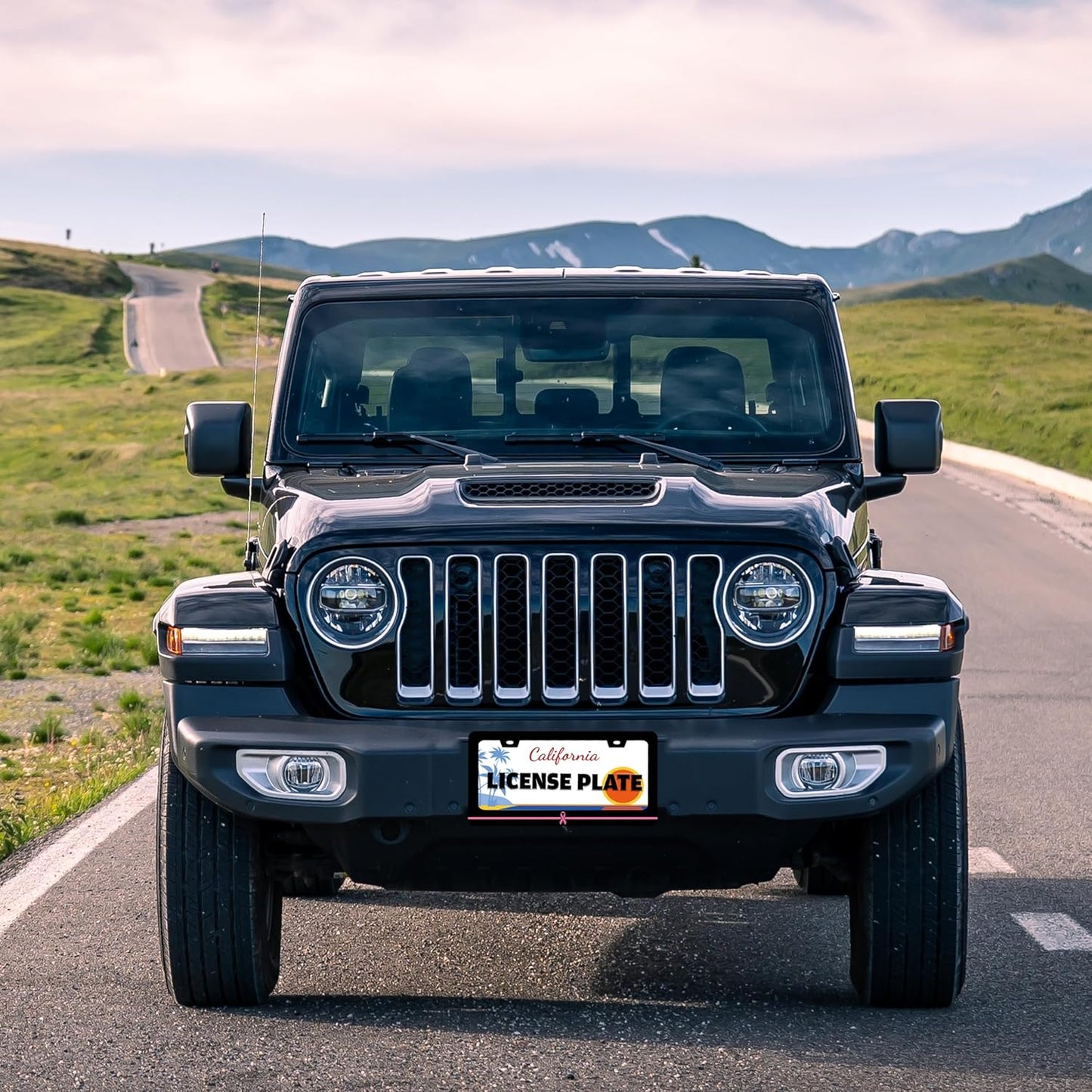 Breast Cancer Awareness License Plate Frame Pink Ribbon License Plate Holder for Front or Rear Car Tags Stainless Steel Funny Car Decoration with Screws 6.3 X 12.2 in