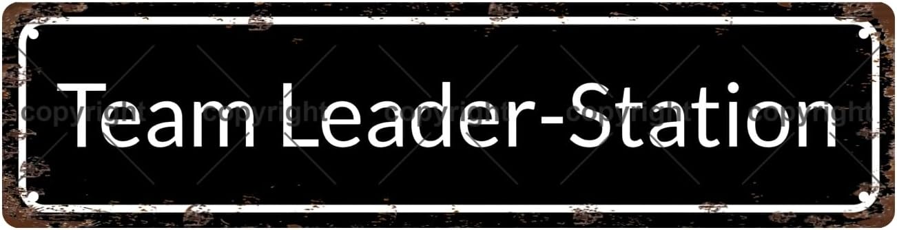 Team Leader-Station Space Vintage Metal Tin Sign, Street Sign, Home Decor, Room Decor, Wall Decor, Bathroom Decor, Bar Decor, Cafe Decor, Garage Decor, 16 x 4 Inch