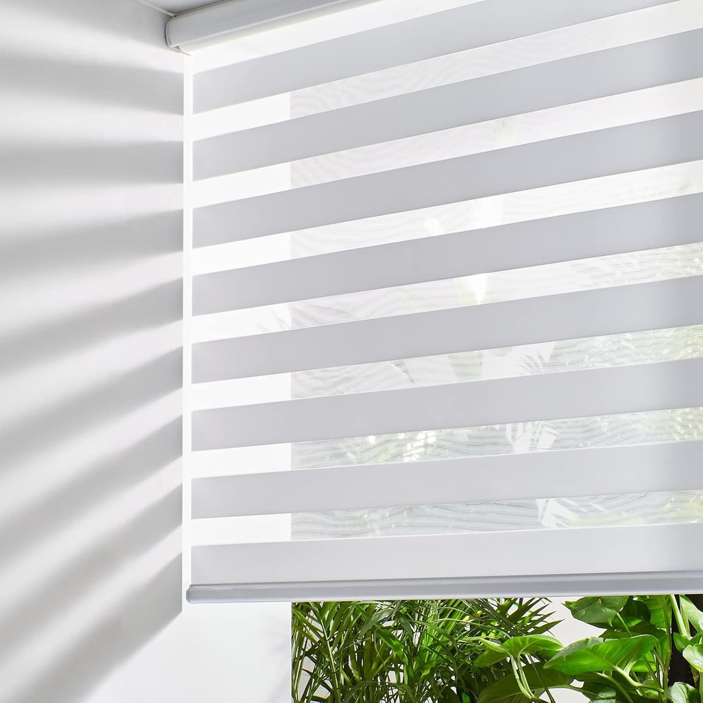Persilux Cordless Zebra Blinds for Windows, Light Filtering Roller Shades for Windows (56" W x 72" H, White) Light Control for Day and Night, Light Filtering Sheer Shades for Home, Office, Bedroom