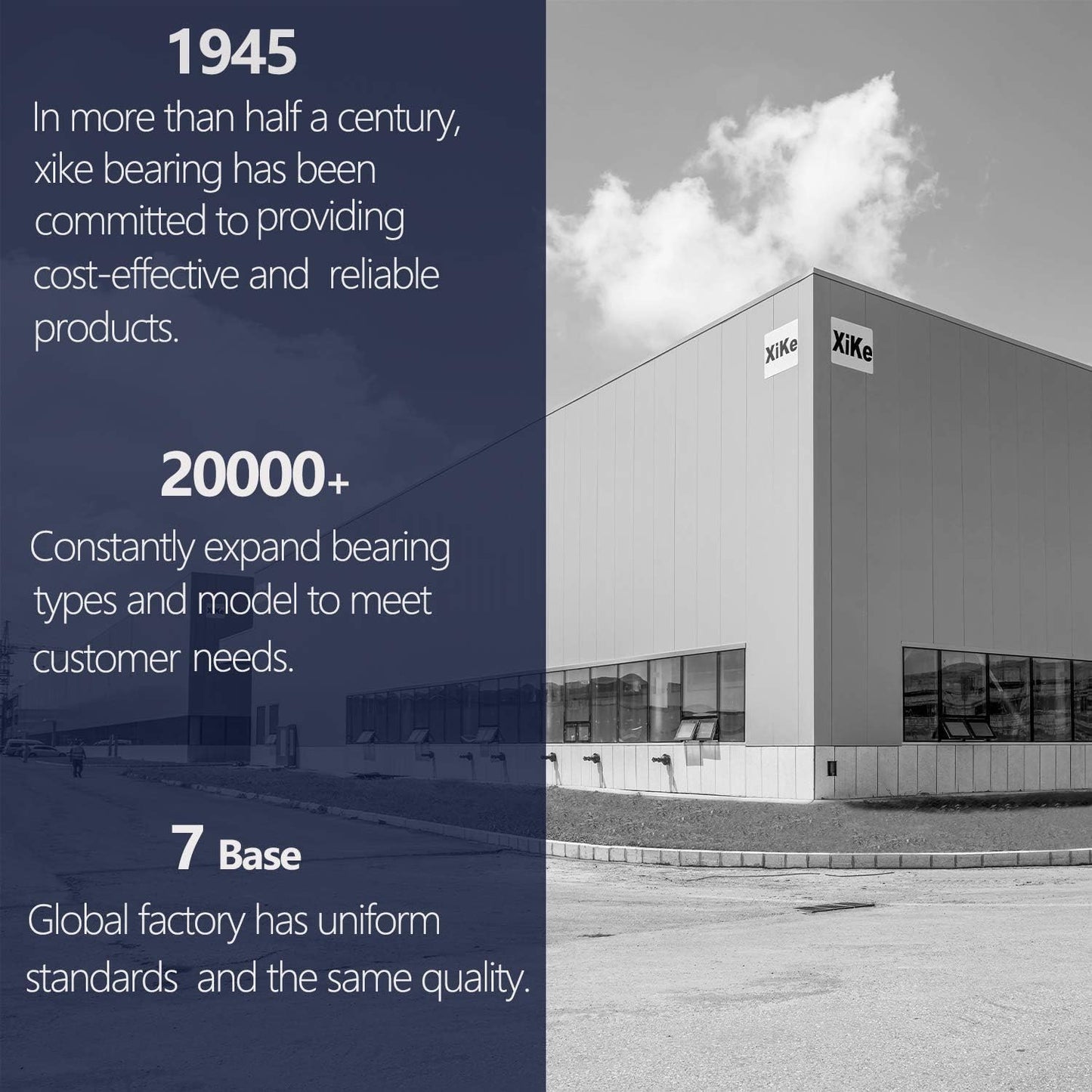 XiKe 12 Pack Black 2" Nylon Garage Door Roller 4" Stem, Quiet/Durable and High Load, Use 6200-2RS Double Seals Precision Bearings.