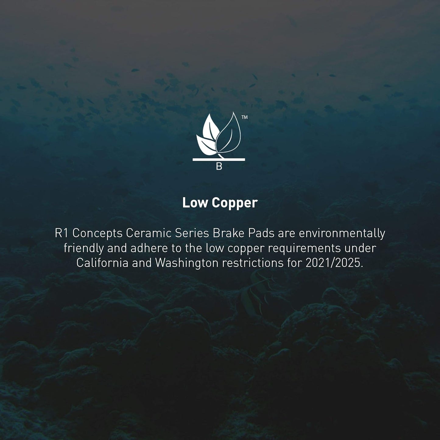 R1 Concepts Front R1 Concepts Ceramic Series Brake Pad With Rubber Steel Rubber Shims