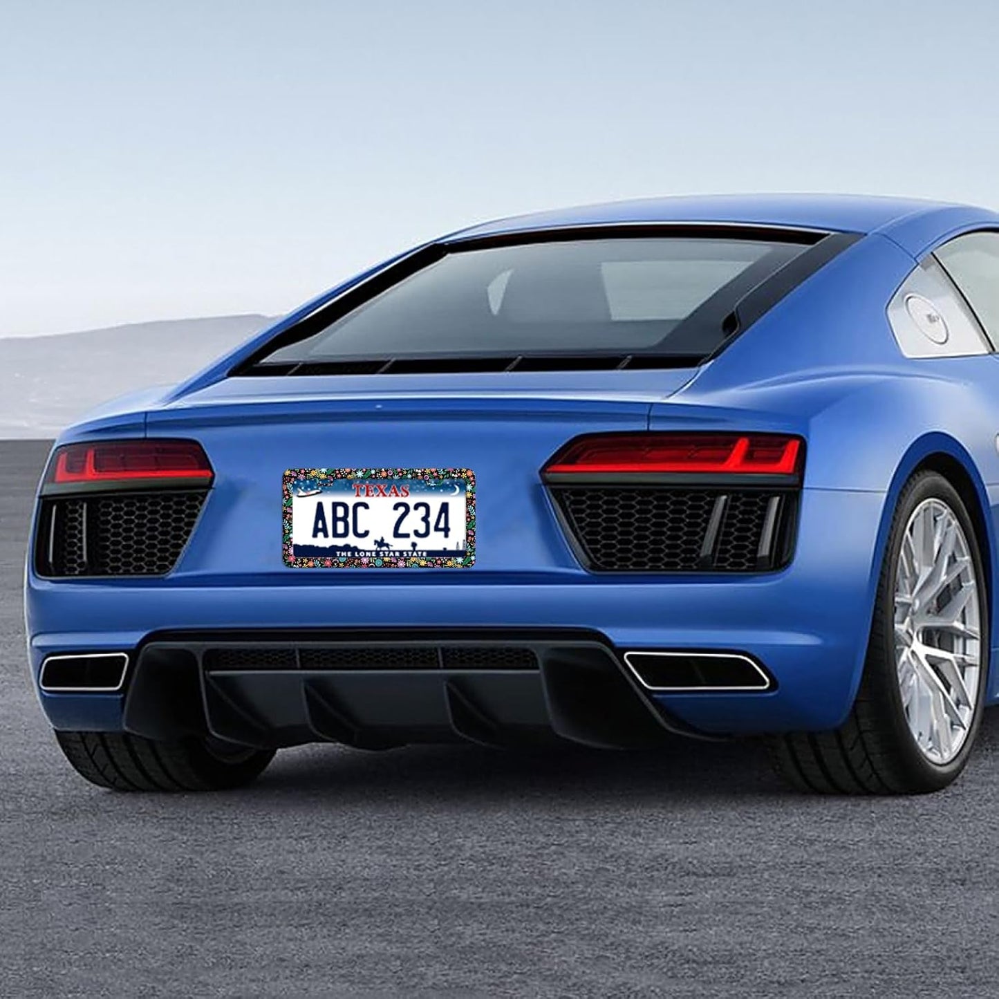 Colorful Flowers License Plate Frame Funny Floral License Plate Frames Stainless Steel Accessories Cars Decor with 2 Holes and Screws Fits Standard Us Ca Vehicles License Plate Holder 12.2 X 6 Inch