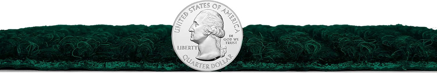 KOECKRITZ Heavy Duty Durable All Weather Indoor/Outdoor Non Slip Entrance Mat Rugs and Runners for Office Business Building Home Garage Front Door (6' x 8', Green)