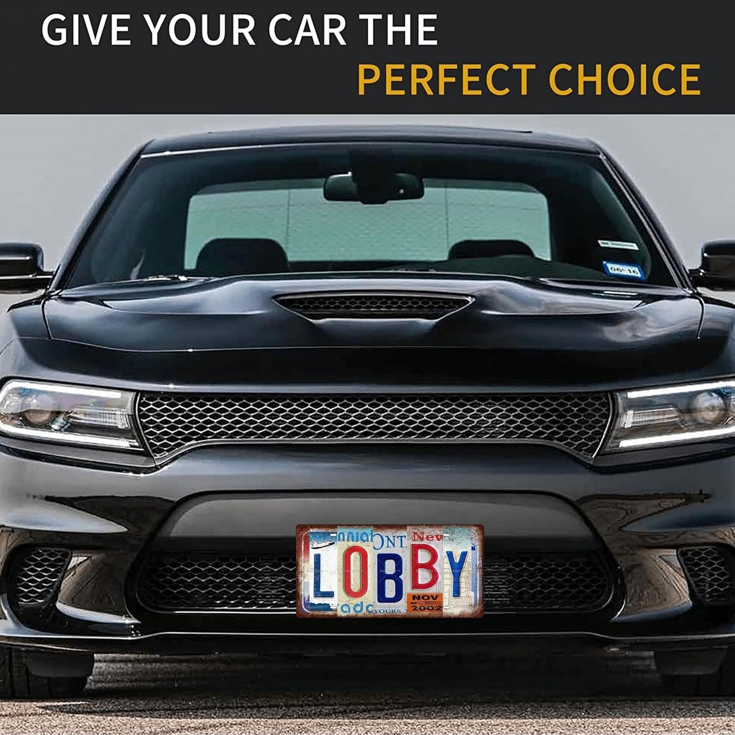 LOBBY Space Vintage Metal Tin Sign License Plate Bar Cafe Garage Cave Home Room Wall Bathroom Farmhouse Garden Porch Patio Decor, 12 x 6 Inch