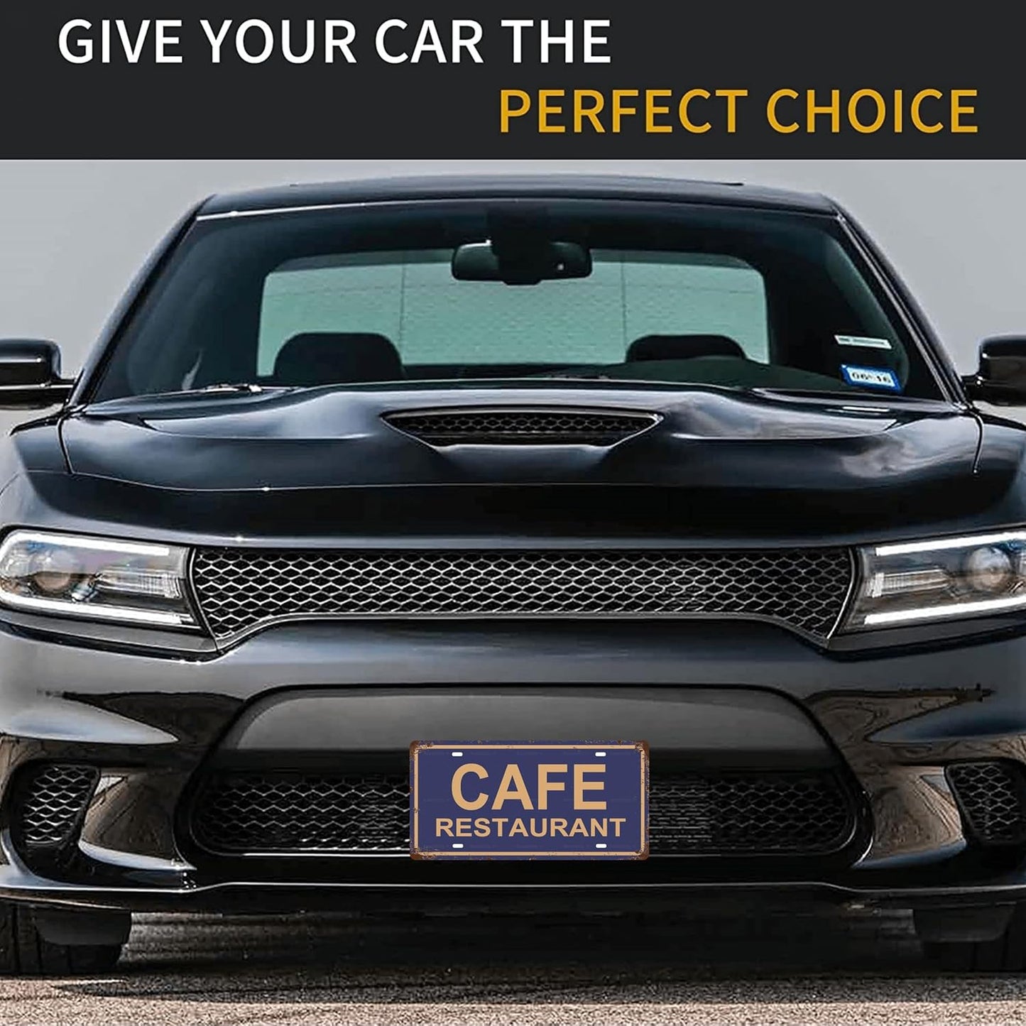 Cafe Restaurant Space Vintage Metal Tin Sign License Plate Bar Cafe Garage Cave Home Room Wall Bathroom Farmhouse Garden Porch Patio Decor, 12 x 6 Inch