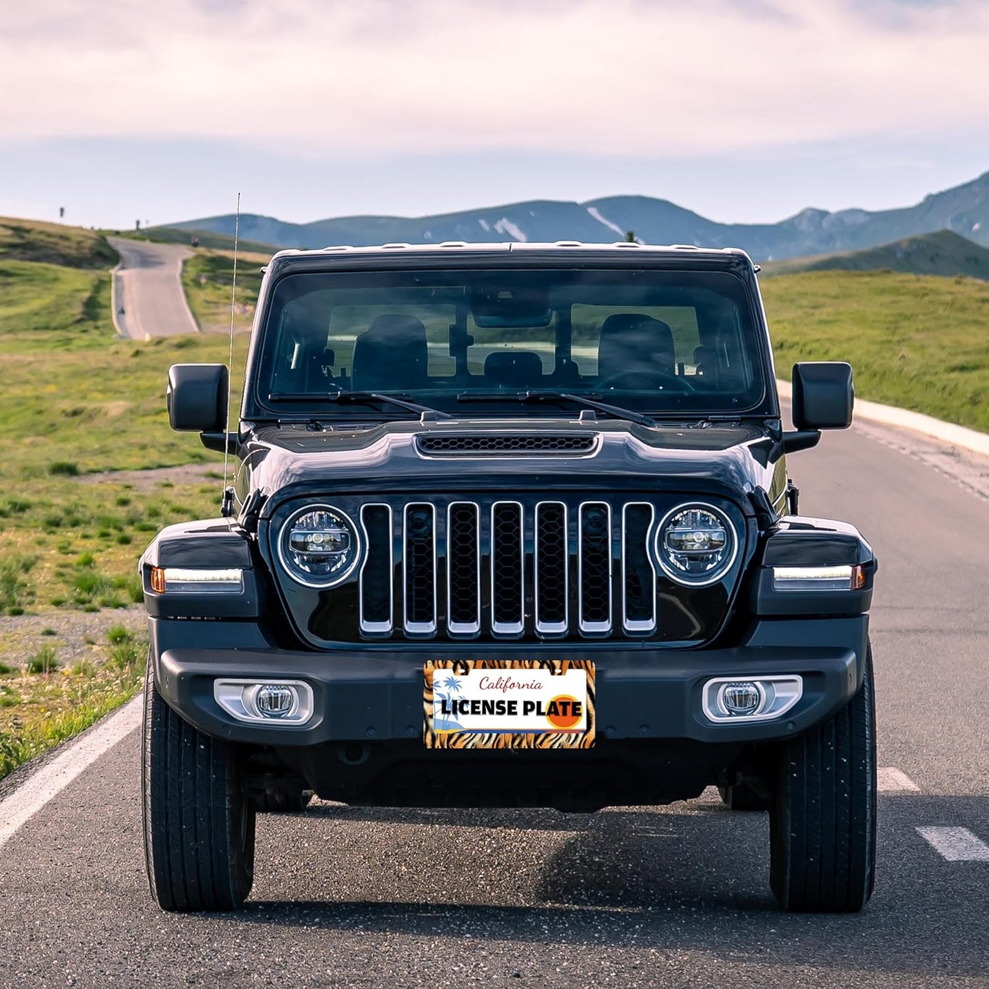 Tiger License Plate Frame Funny Tiger Skin Stripe License Plate Holder for Front or Rear Car Tags Reusable Durable Stainless Steel Car Decoration with Screws 6.3 X 12.2 Inch for Men Women