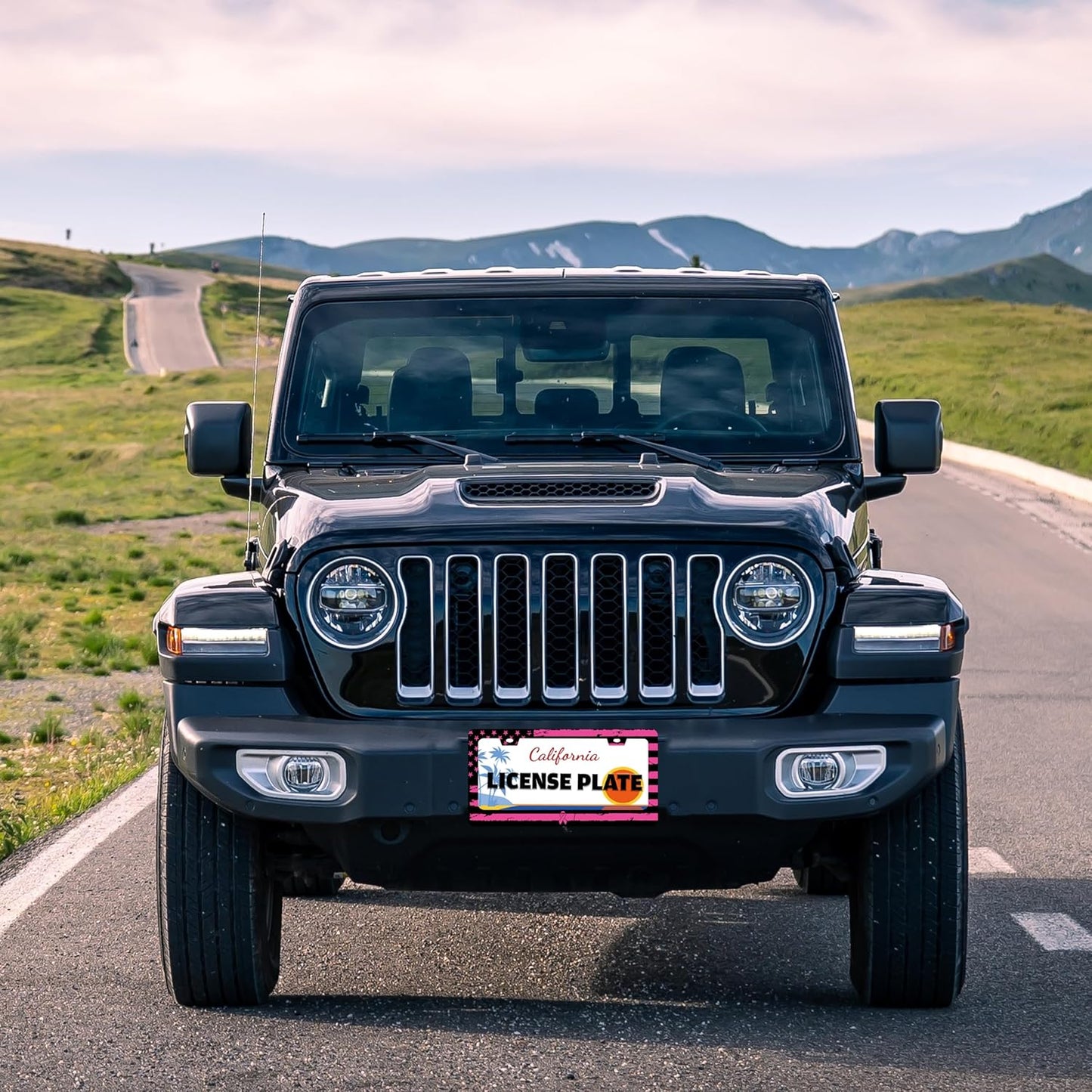 Breast Cancer Awareness Pink Ribbon License Plate Frame American Flag License Plate Holder for Front or Rear Car Tags Reusable Stainless Steel Funny Car Decoration with Screws 6.3 X 12.2 in